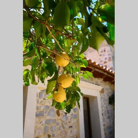 Marigoula House Pombia